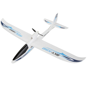 WLtoys F959S RC Airplane Fixed-wing SKY-King 2.4G 3CH 6- Gyro Remote control Aircraft Glider RTF